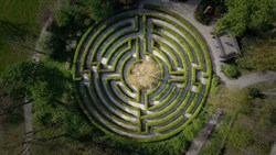 maze green circle